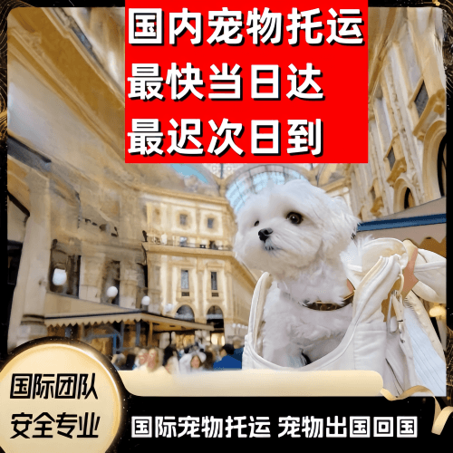 常州市到澳大利亚（澳洲）宠物入境规定和要求